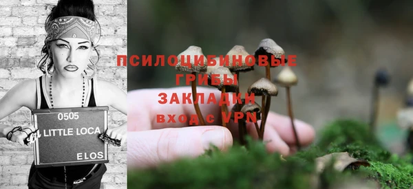 гидропоника Мегион