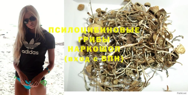 дурь Медвежьегорск