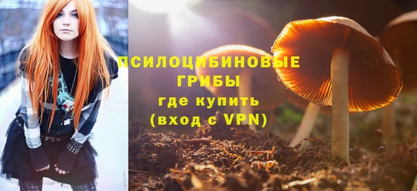 прущий лед Михайловка