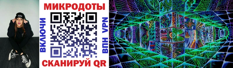 мориарти официальный сайт  Нововоронеж  Псилоцибиновые грибы Psilocybine cubensis  MEGA ONION 