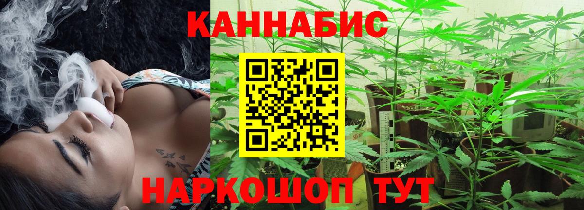 МАРИХУАНА OG Kush Нововоронеж